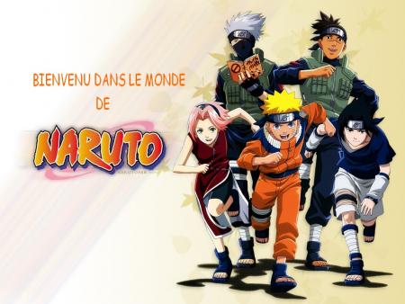 BIEN VENU DANS LE MONDE NARUTO